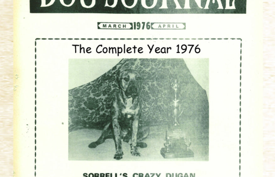 SPORTING DOG JOURNAL 1976 APBT Books