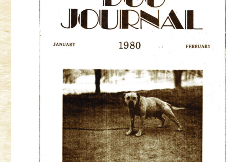 SPORTING DOG JOURNAL 1980 APBT Books